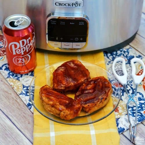 slow cooker camping recipes