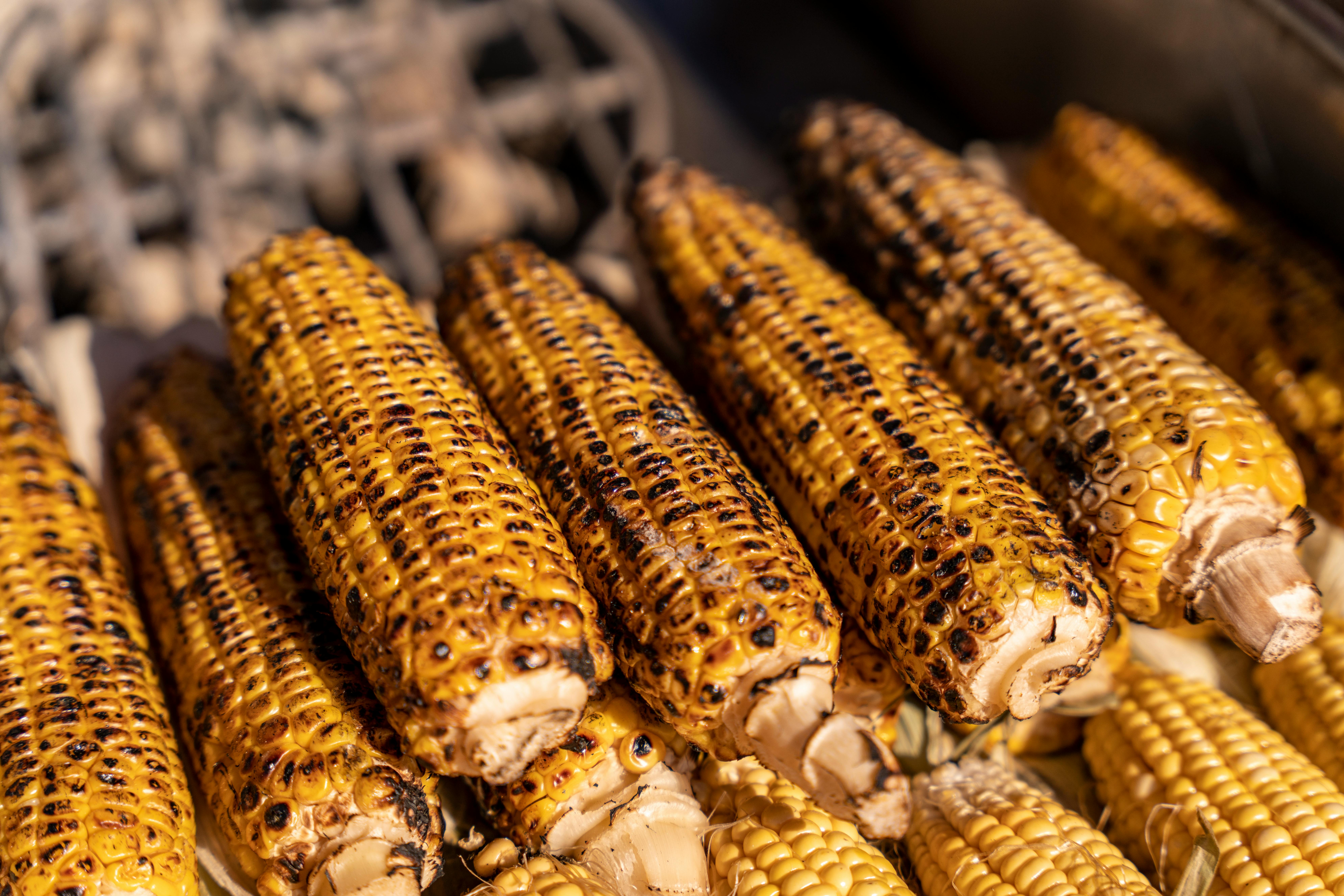 campfire corn on the cob